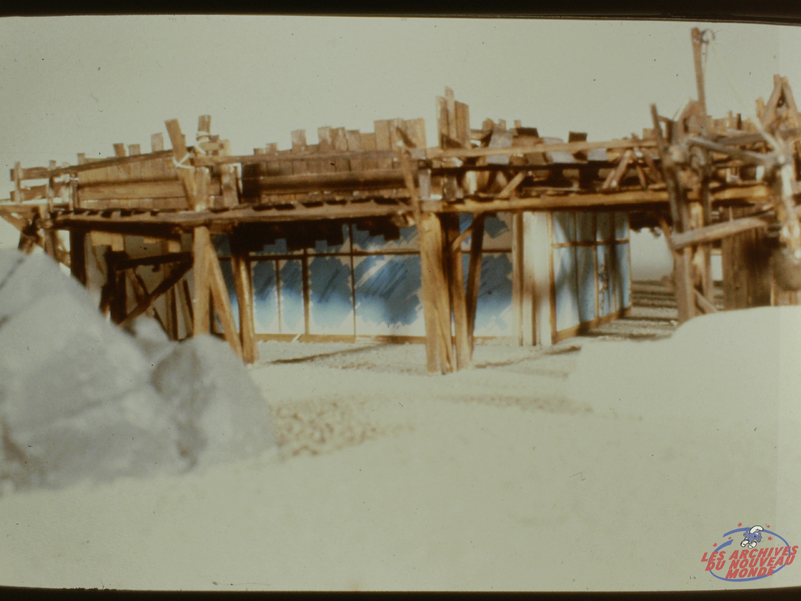 Maquette - Salsepareille